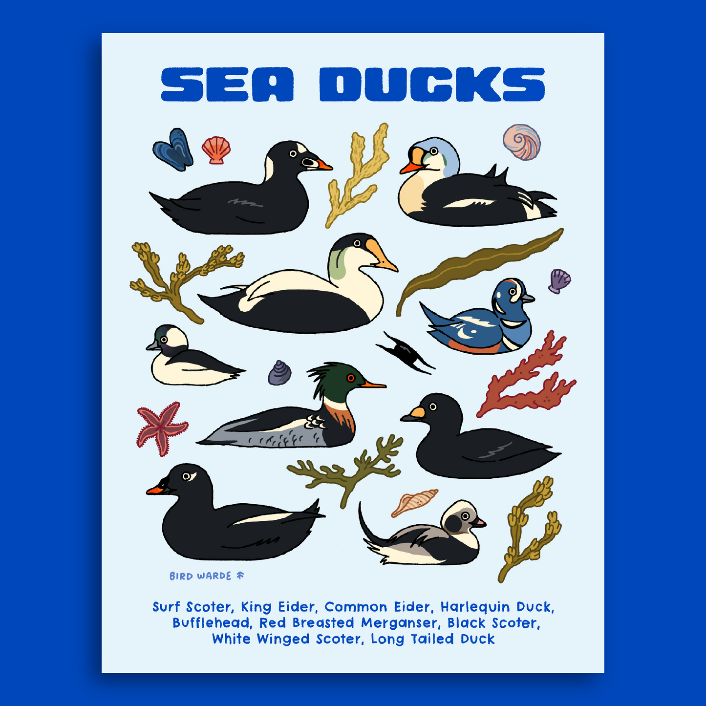 Sea Ducks Print