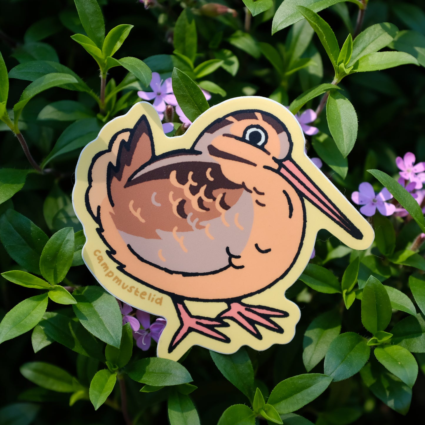 Round Woodcock Sticker