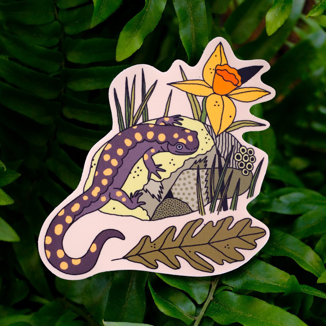 Spring Salamander Sticker