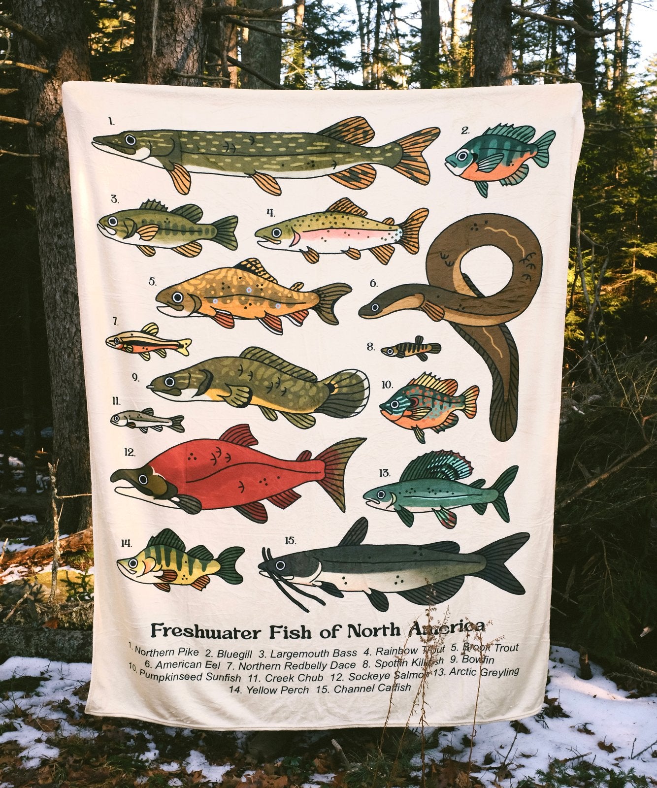 Fish of North America Blanket PREORDER