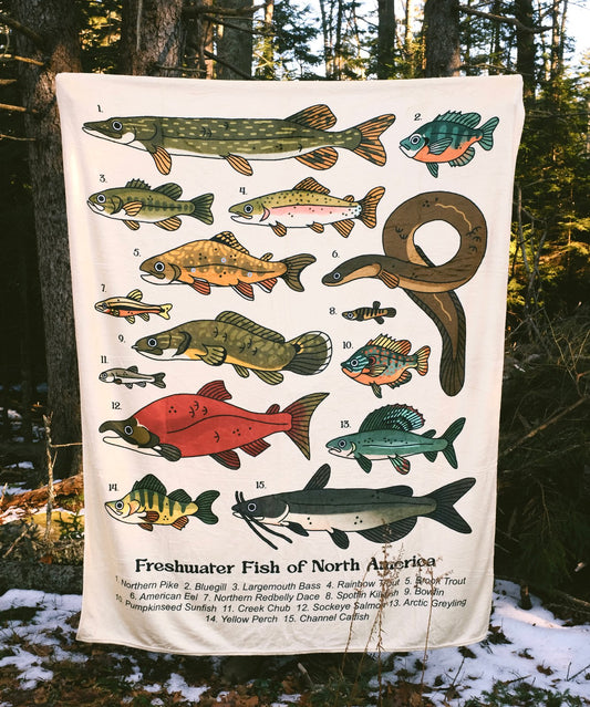 Fish of North America Blanket PREORDER