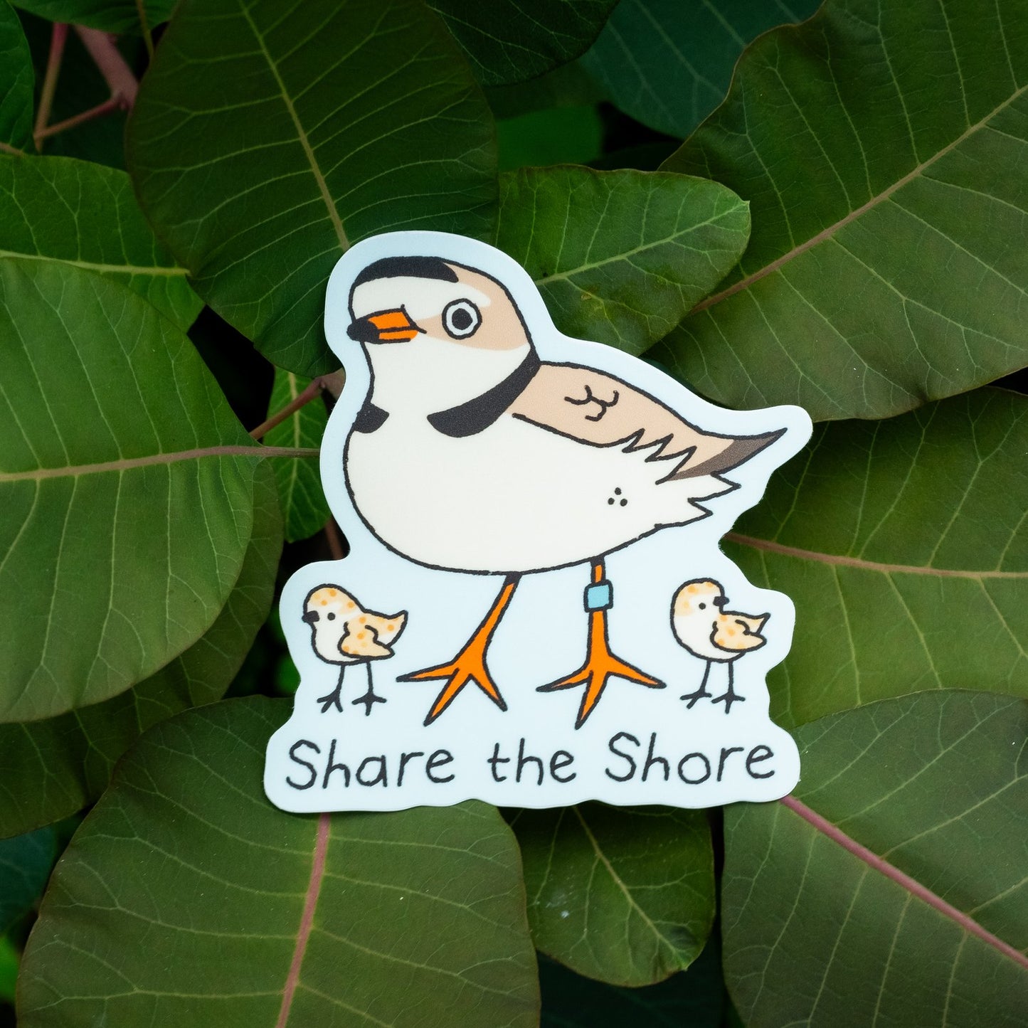 Share the Shore Sticker