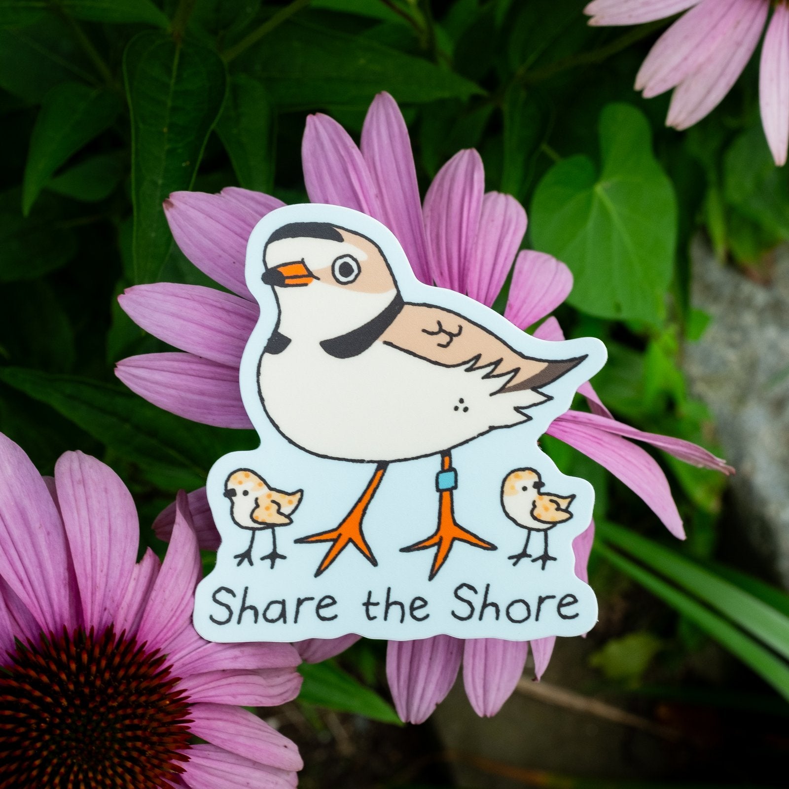 Share the Shore Sticker