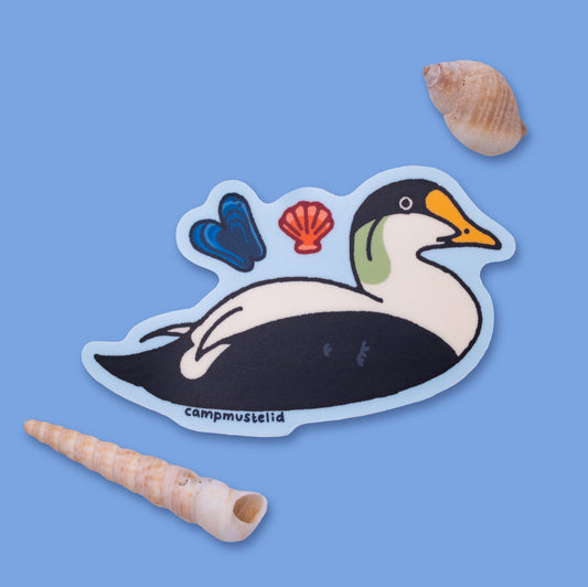 Common Eider Sticker