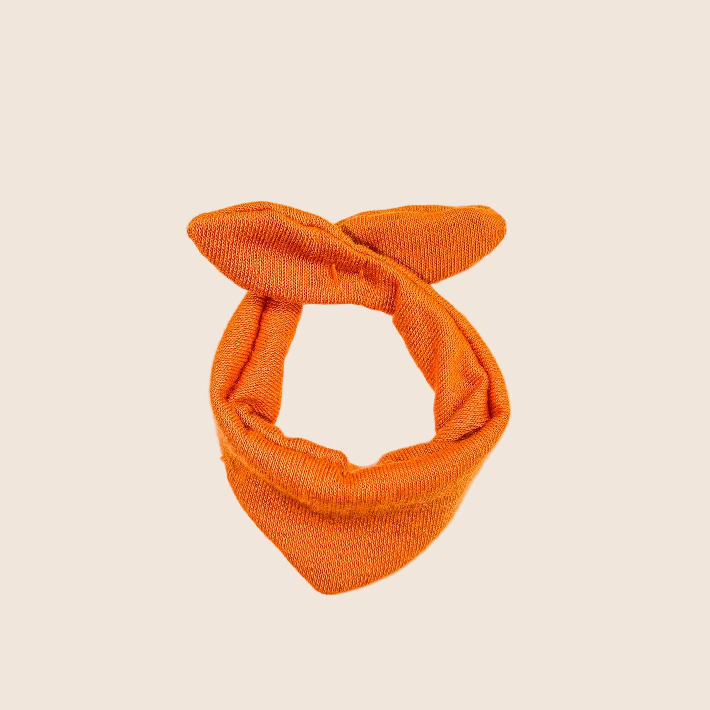 Willow Bandana