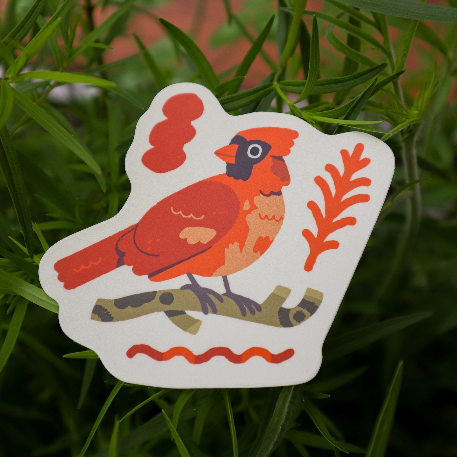 Special Little Cardinal - Pride Birds