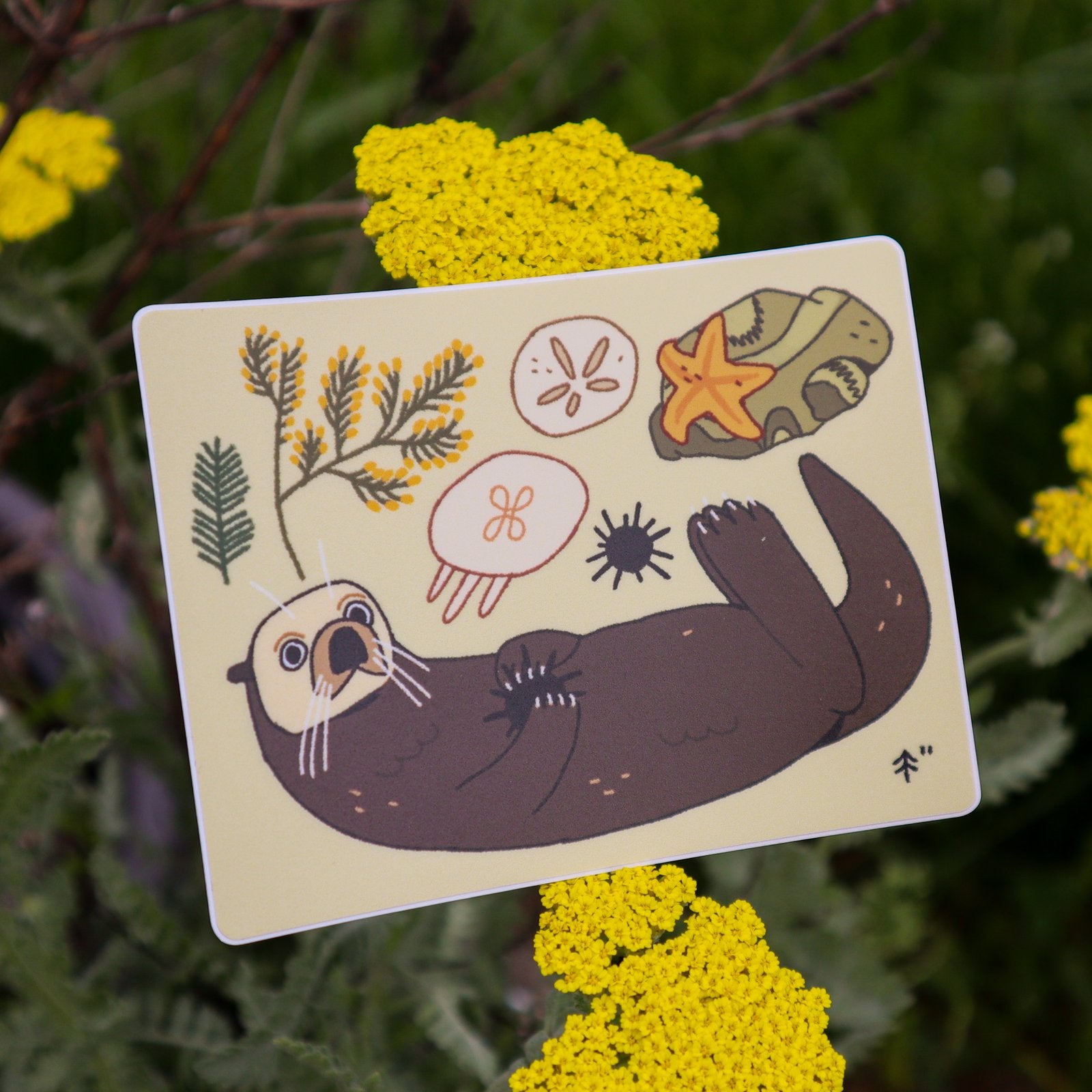 Sea Otter Coast Sticker