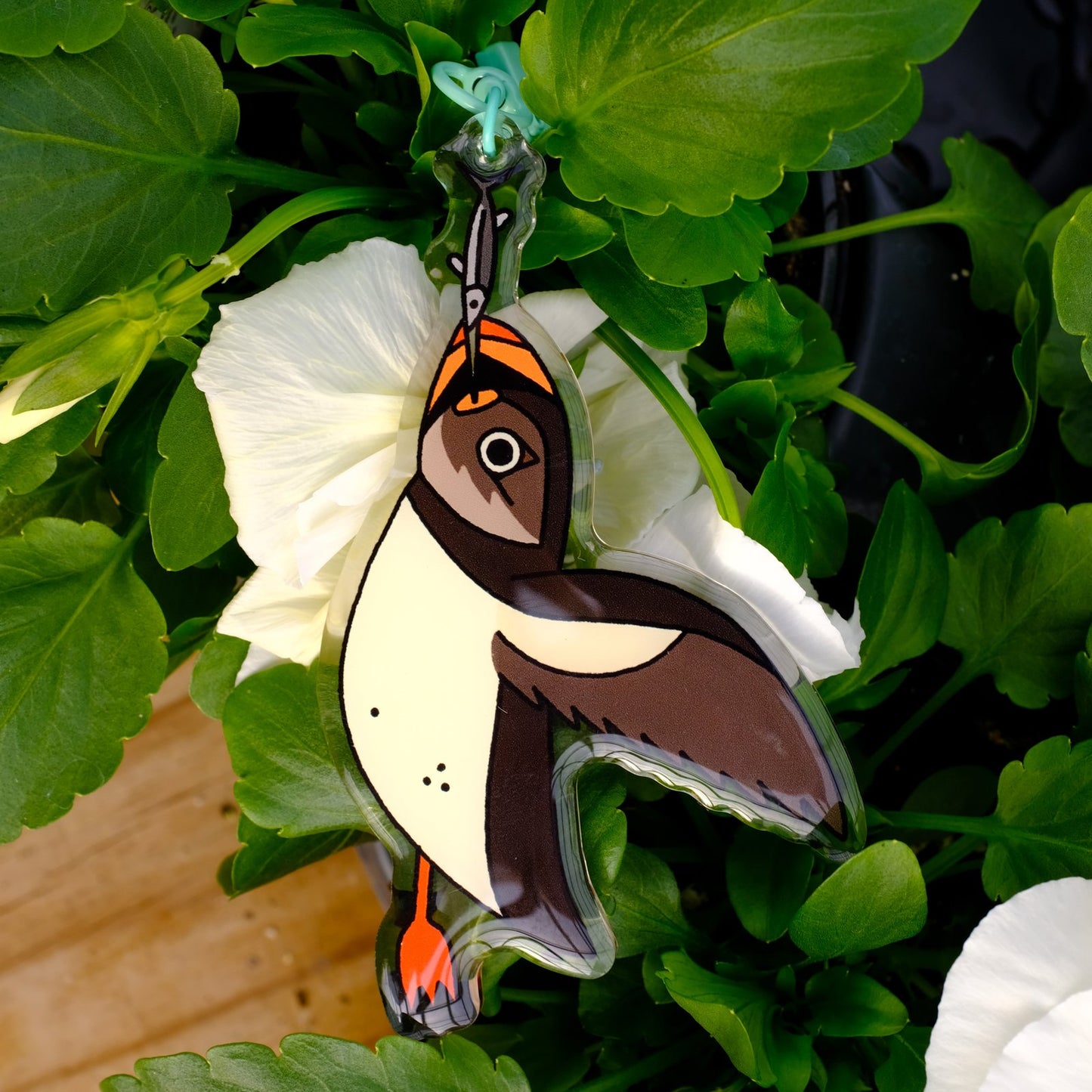 Atlantic Puffin Plumages Acrylic Keychain