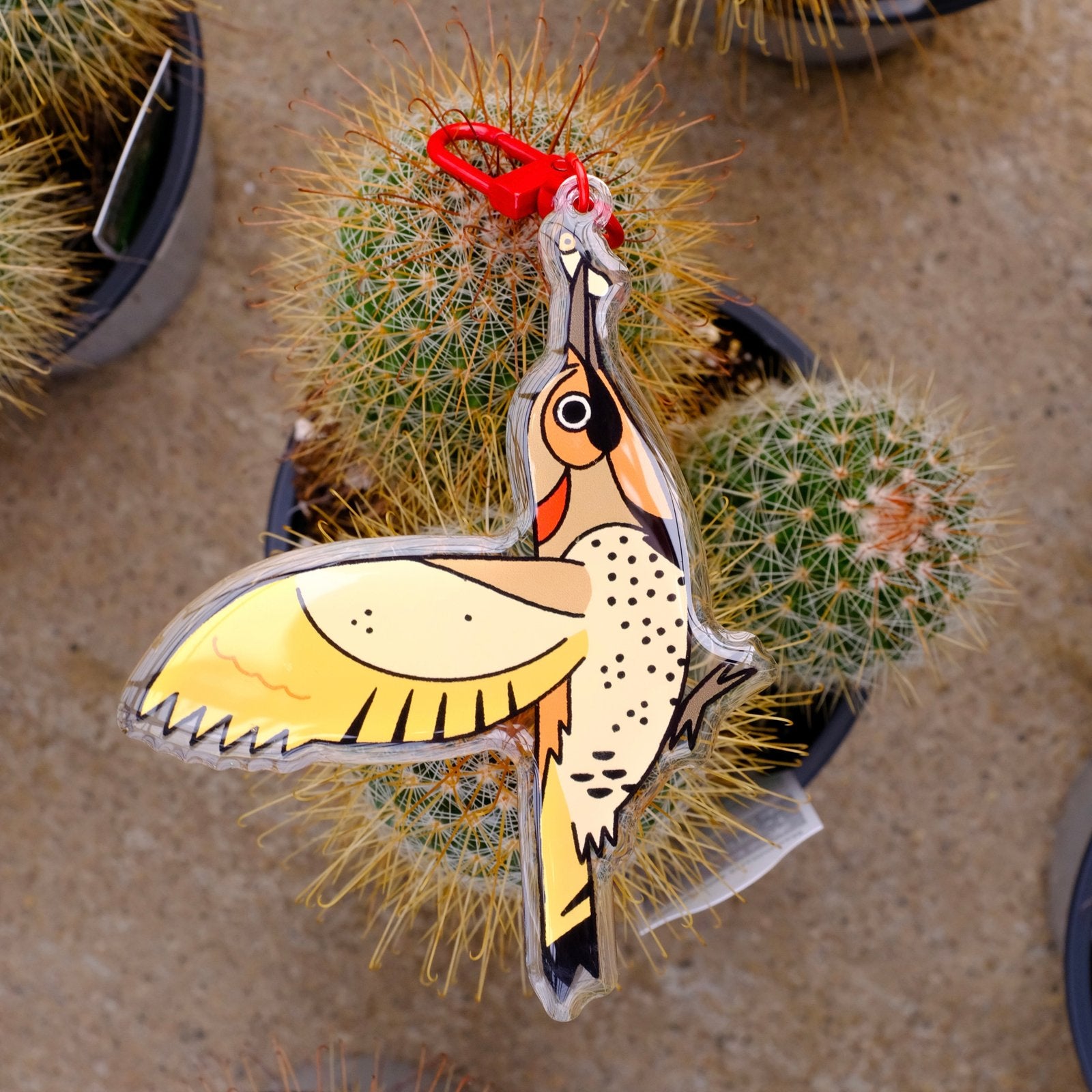 Northern Flicker Morphs Acrylic Keychain