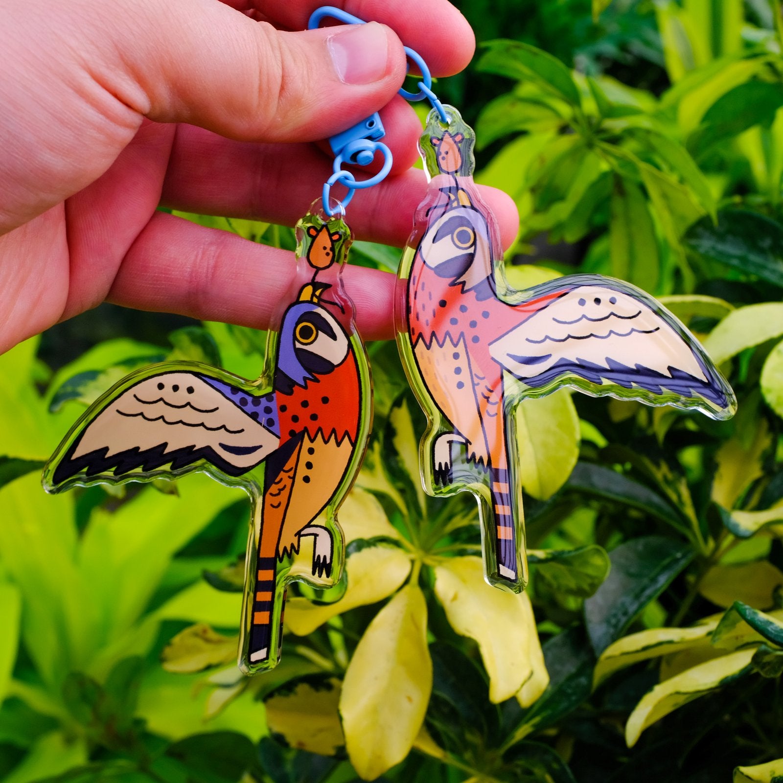 Dimorphic American Kestrel Acrylic Keychain