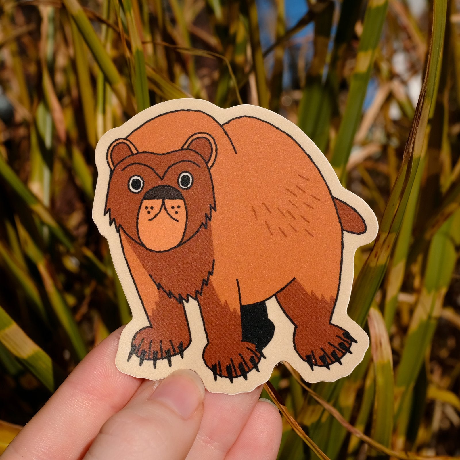 Brown Bear Sticker