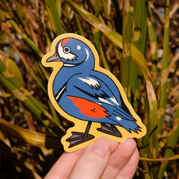 Harlequin Duck Sticker – Camp Mustelid
