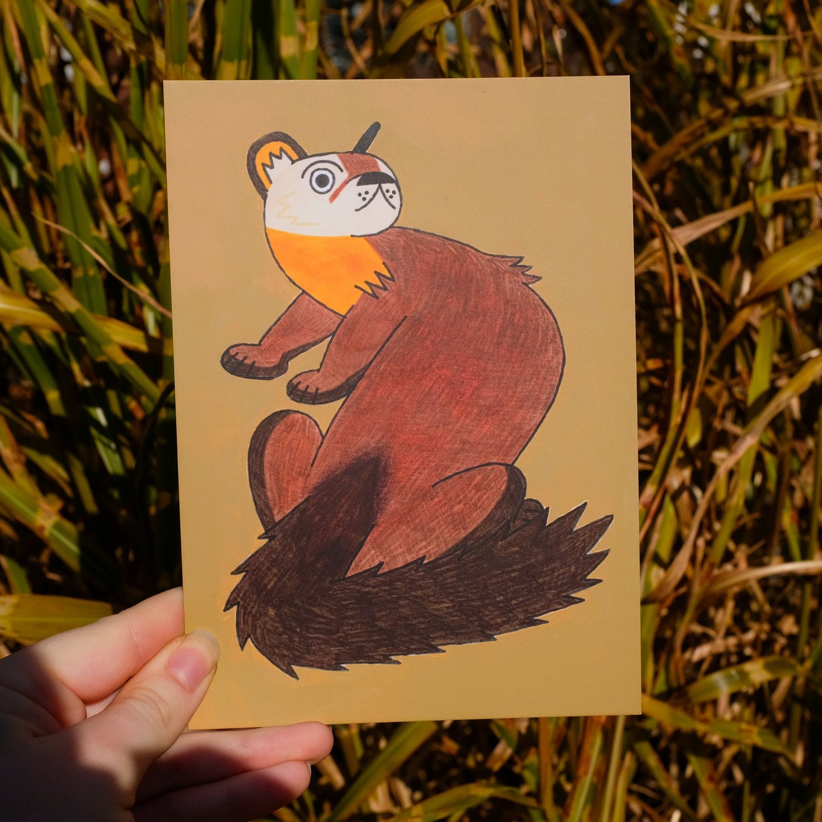 Pine Marten Mini Print