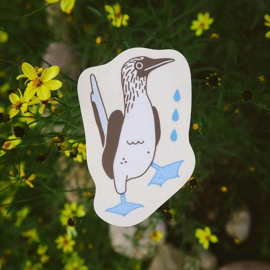 Blue-footed Booby Sticker