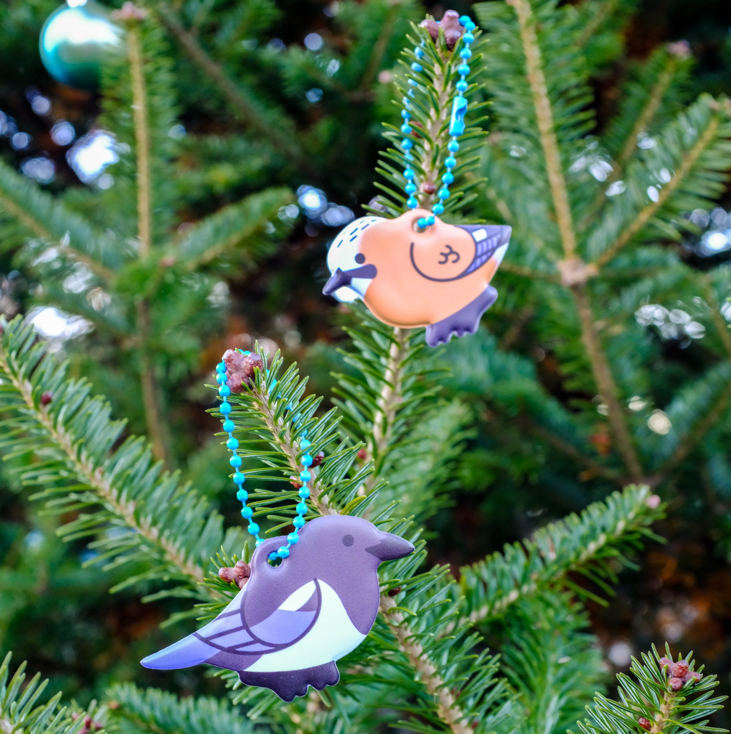 Corvid Charm Blind Bag