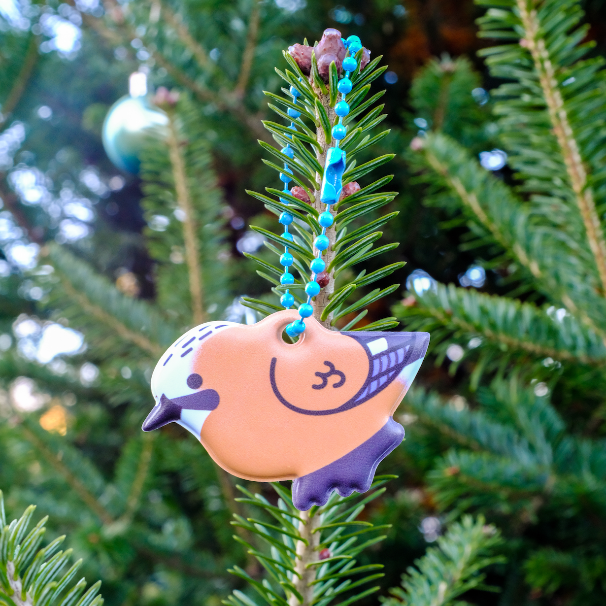 Corvid Charm Blind Bag