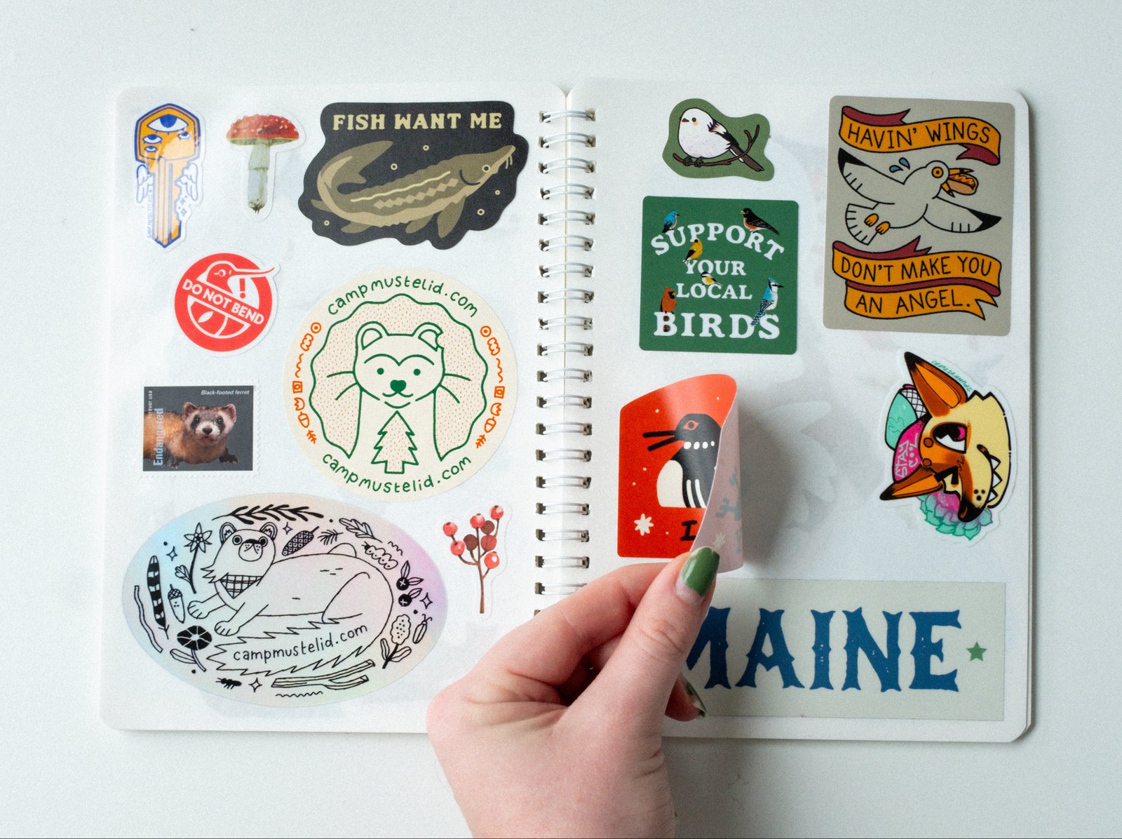 Camp Treasures Sticker Collecting Book