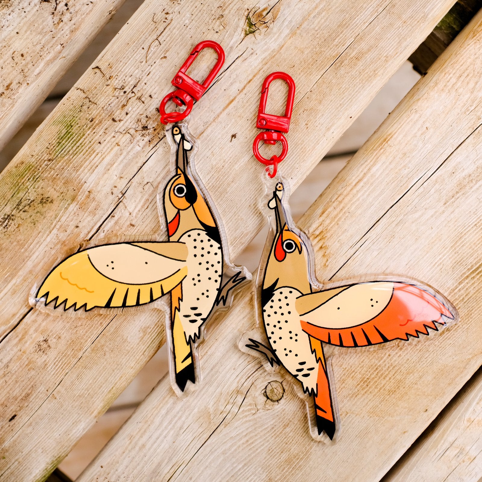 Northern Flicker Morphs Acrylic Keychain