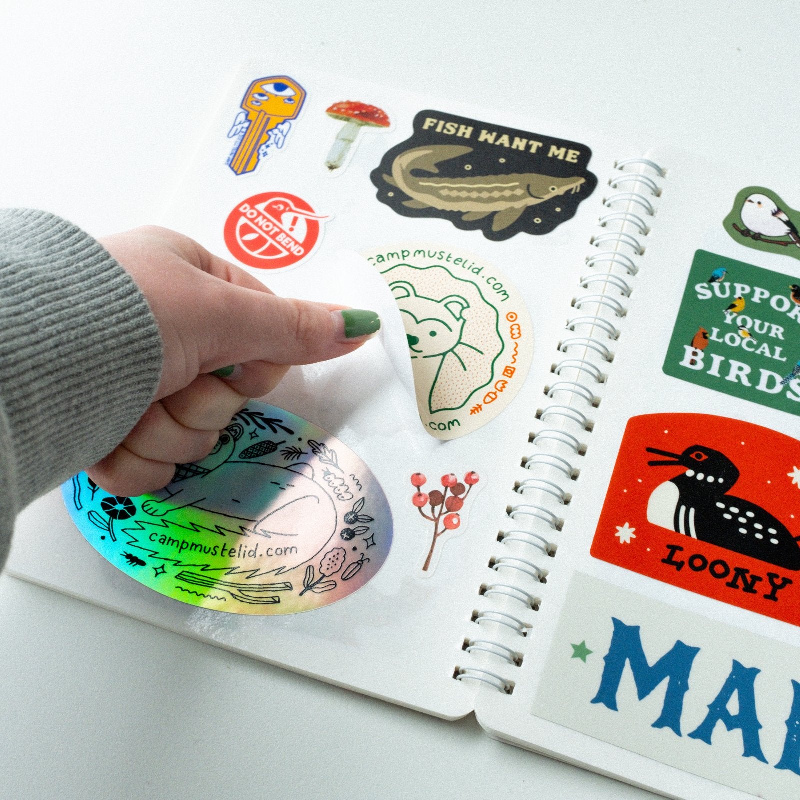 Mushroom Sticker Collecting Book