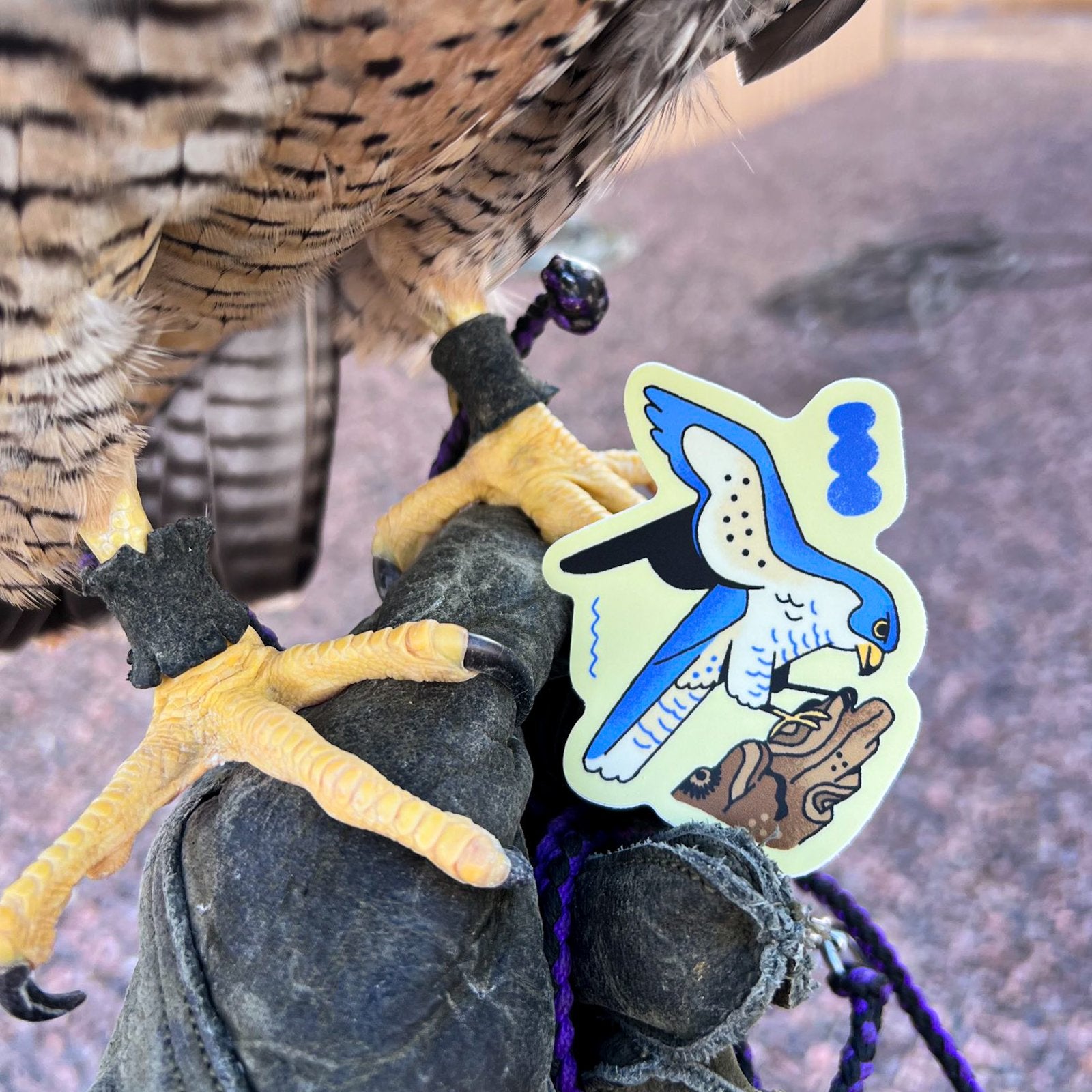 Blue Peregrine Falcon Sticker