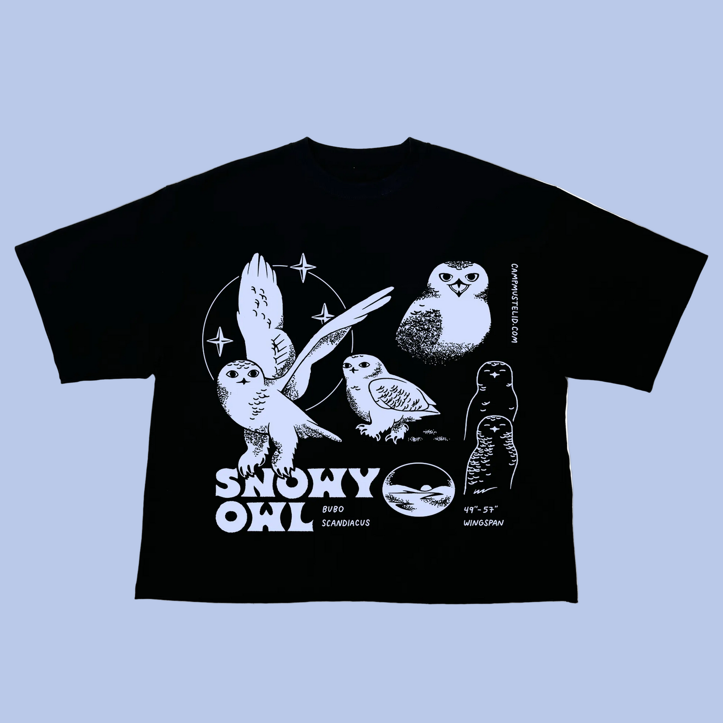 Snowy Owl Boxy Tee
